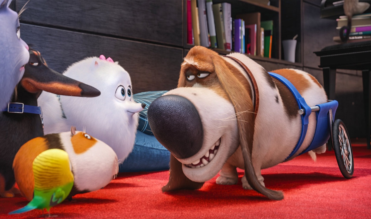 10 anecdotes sur Comme des bêtes