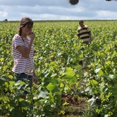 Une scène du film <em>Retour en Bourgogne</em>