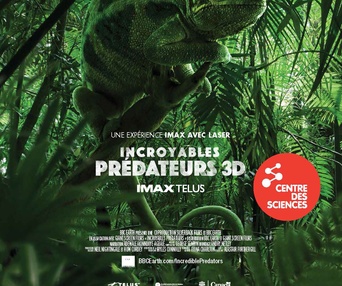 Affiche du film Incredible Predators