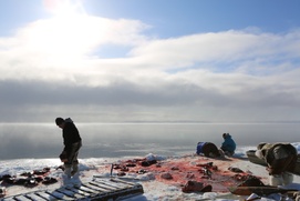 Une scène du film Inuk en colère