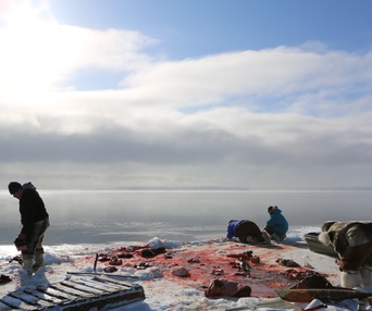 Une scène du film Inuk en colère