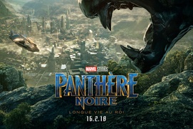 Affiche du film Panthère noire Affiche du film Panthère noire