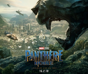 Affiche du film Panthère noire
