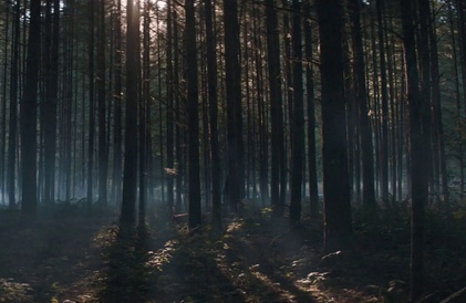 Bande-annonce en anglais