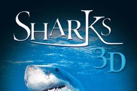 Affiche du film Sharks 3D