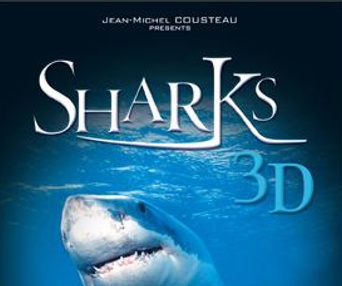 Affiche du film Sharks 3D
