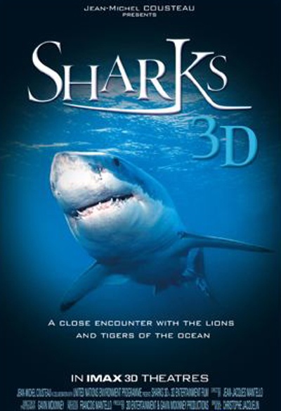 Affiche du film Sharks 3D