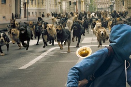Une scène du film White God