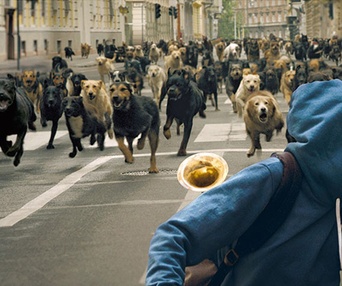 Une scène du film White God