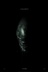 Affiche du film Alien : Covenant