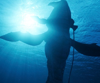 Une scène du film Avatar: The Way of Water