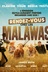 Affiche du film Rendez-vous chez les Malawas