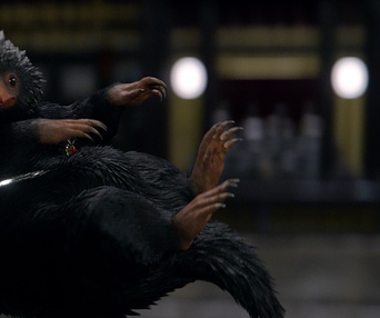 Une scène du film Fantastic Beasts and Where to Find Them