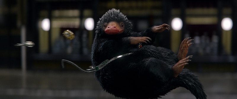 Une scène du film Fantastic Beasts and Where to Find Them