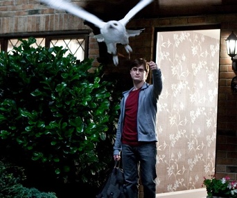 Une scène du film Harry Potter and the Deathly Hallows: Part I