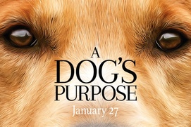 Affiche du film A Dog's Purpose Affiche du film A Dog's Purpose