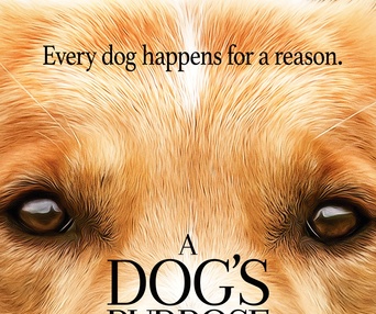 Affiche du film A Dog's Purpose