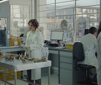 Image du film Memoria