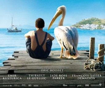 Affiche du film Nicostratos le pélican