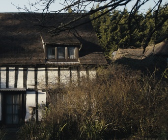 Une scène du film Wolf Garden
