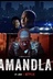 Affiche du film Amandla