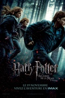 Affiche du film Harry Potter et les reliques de la mort : 1 ère partie
