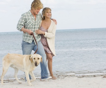 Scène du film Marley and Me