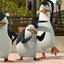 Une scène du film Madagascar