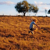 Une scène du film <em>The Tree</em>