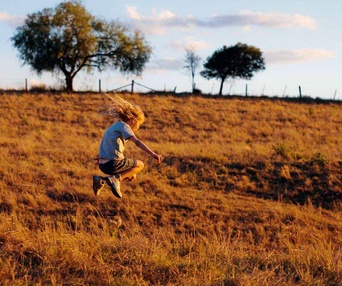 Une scène du film The Tree