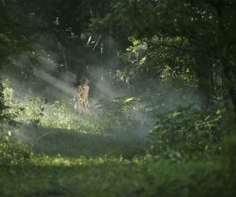 Une scène du film In the Electric Mist