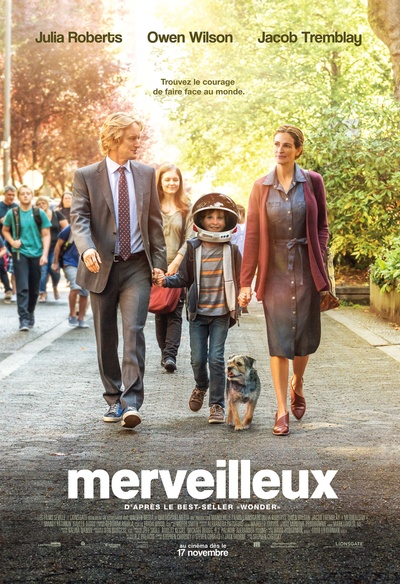 Affiche du film Merveilleux