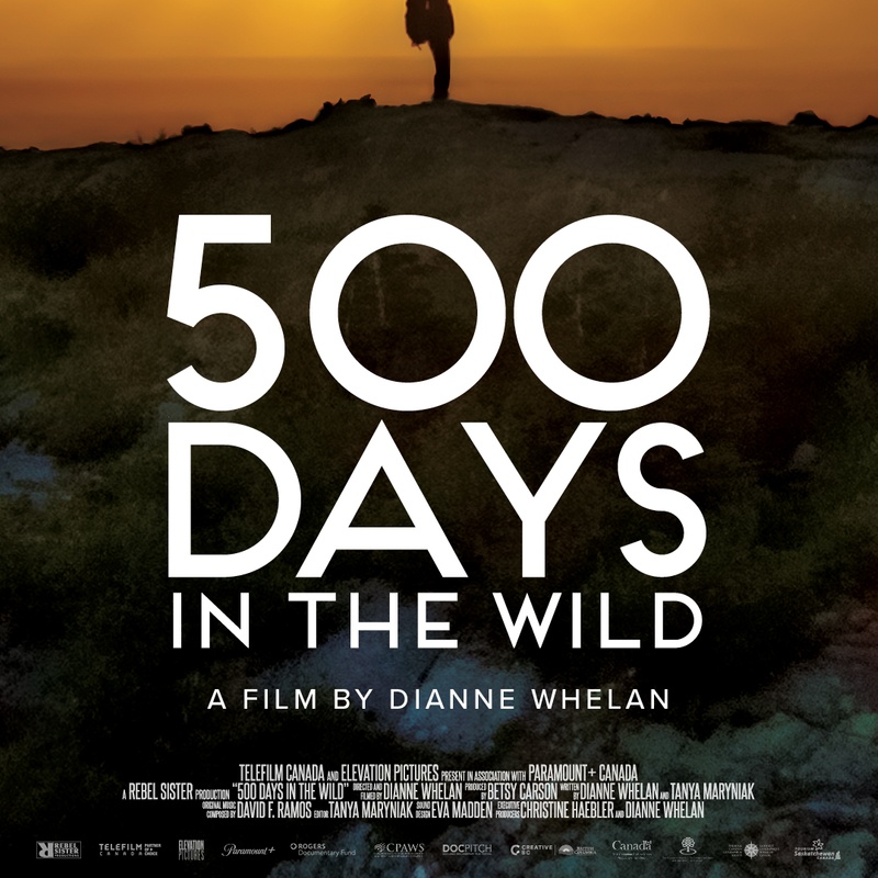 Affiche du film 500 Days in the Wild