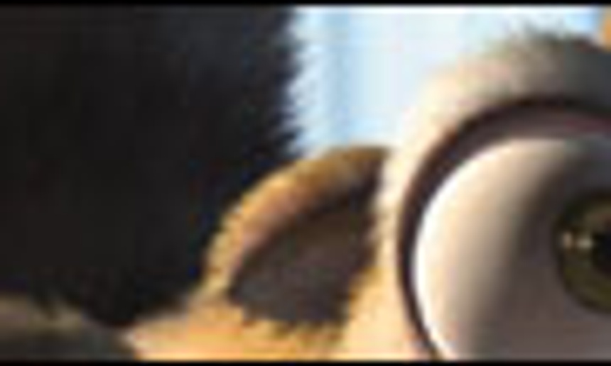 Des voix pour Ice Age 2