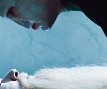 Une scène du film Harry Potter and the Deathly Hallows: Part 1