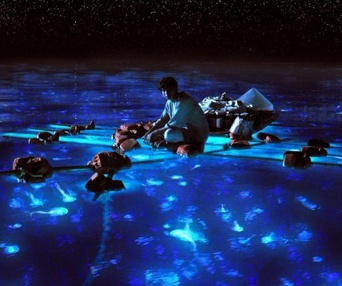 Une scène du film Life of Pi