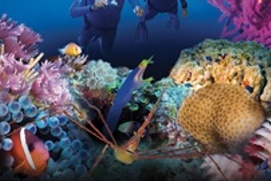 Images du film Jean-Michel Cousteau's Secret Ocean 3D