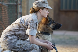 Une scène du film Megan Leavey