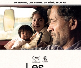 Affiche du film Les acacias