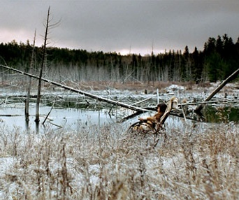 Scène du film That Beautiful Somewhere
