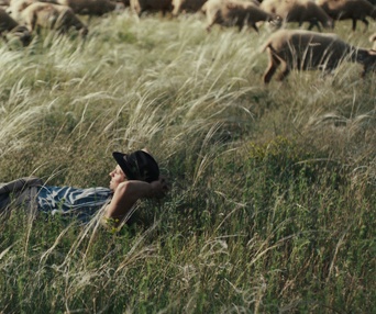 Image du film Bergers