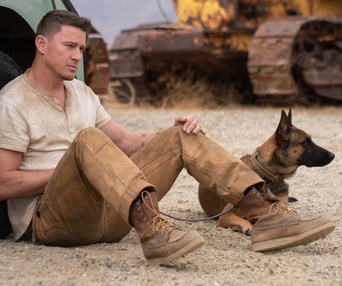 Une scène du film Dog