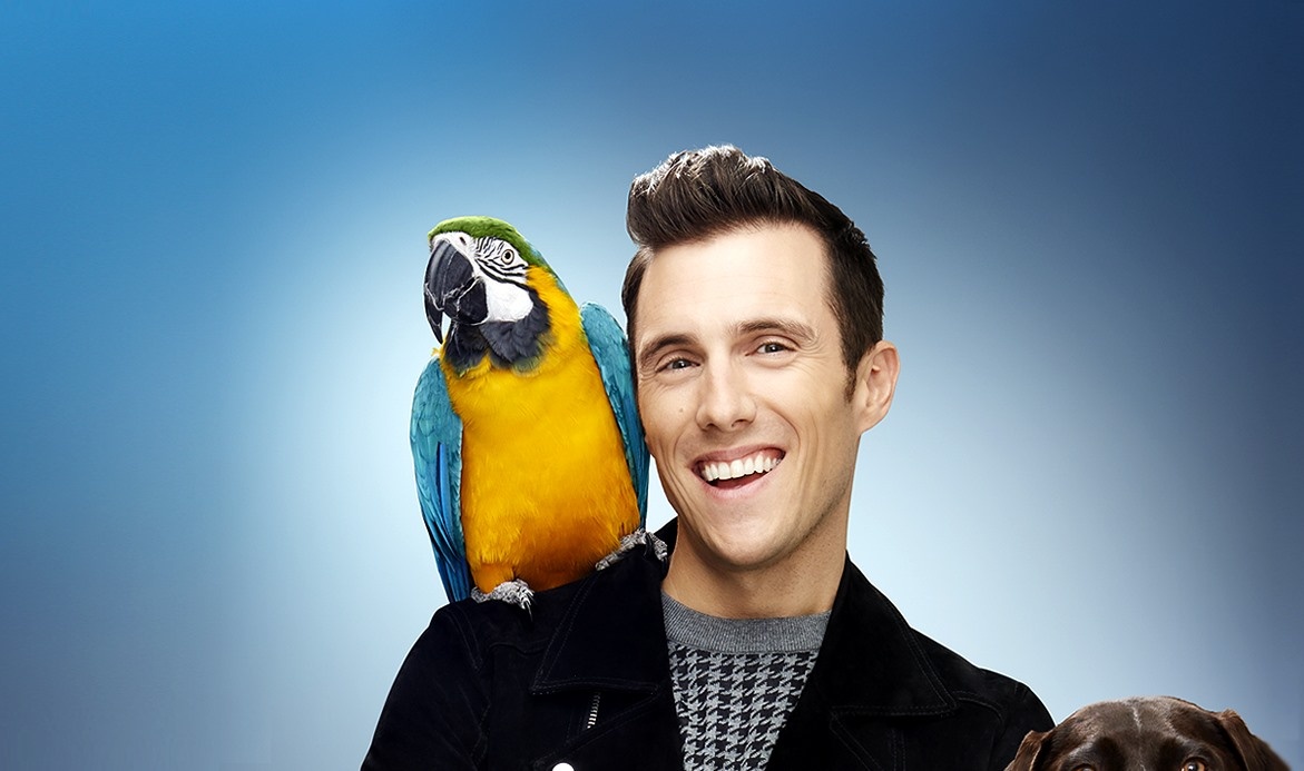 Image officielle Animania