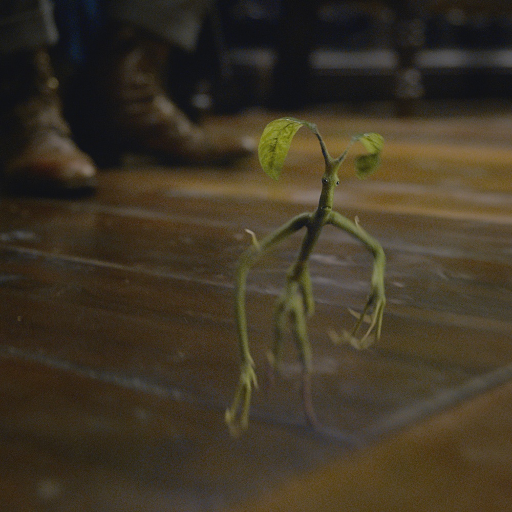 Une scène du film Fantastic Beasts: The Crimes of Grindelwald