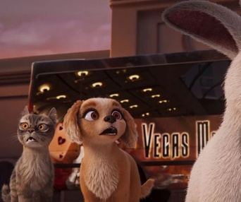 Images du film Les aventures de Gracie et Pedro