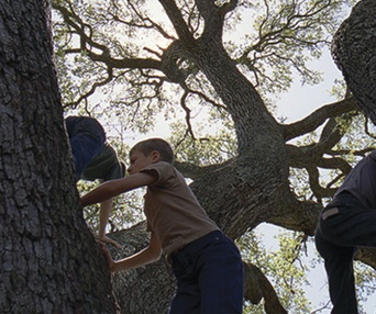 Une scène du film The Tree of Life