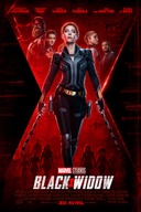 Affiche du film Black Widow