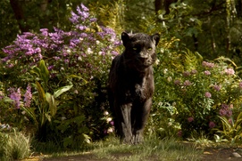 Une scène du film The Jungle Book