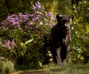 Une scène du film The Jungle Book