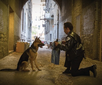 Une scène du film A Dog's Purpose